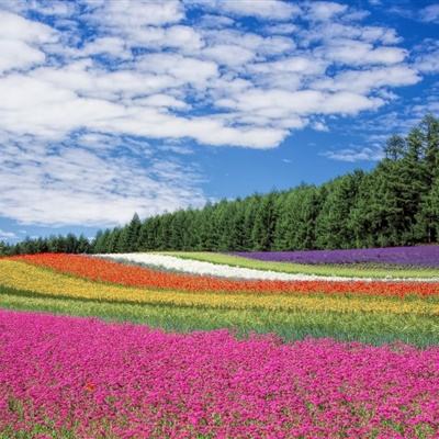 失眠睡不着,为啥越“努力”越糟糕?