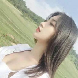 超级蜡笔小人2（0.1折内置免费版）