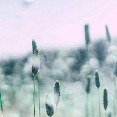 孕期吃水果,每天别超400克